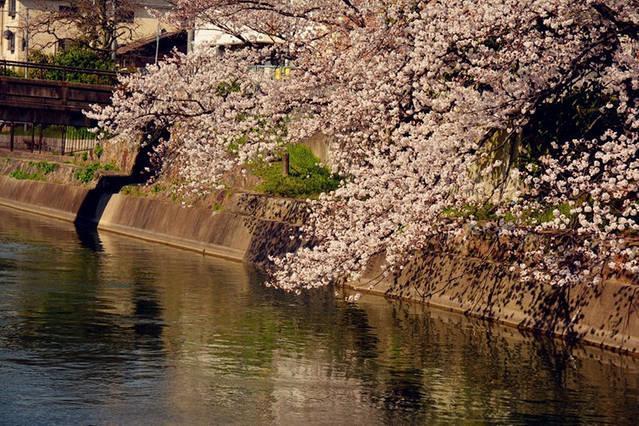 Art Stay In Tofukuji Quioto Exterior foto